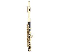 Flauto Piccolo 21 Cm, Piccolo Ottavin ABS + Cupronichel Chiave Piccolo C Ottavino (GOLD)