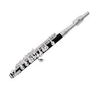 Flauto Piccolo C Key Flauto Di Mezza Misura In Cupronichel Materiale Del Corpo Placcato In Argento Resina ABS