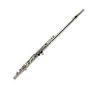 Flauto Professionale 16 17 Esame Per Principianti Con Fori Aperti E Chiusi Per Suonare Il Flauto Traverso In Do(17-hole open-cell silver plating)