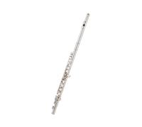 Flauto Professionale Buono Strumento Per Flauto Nichelato A 16 Fori Per Flauto Per Principianti In Chiave C