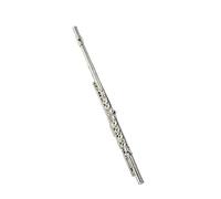 Flauto Professionale C Flauto Per Principianti Con Chiave Chiusa CE A 16 Fori Nichelato