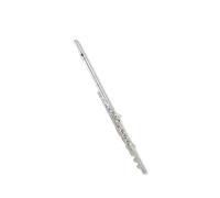 Flauto Professionale C Flauto Professionale Placcato Argento Strumento A Fiato Aperto A 17 Fori
