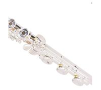 Flauto Professionale Flauto 16 Fori Aperti E Chiusi Strumento A Doppio Uso Chiave C Rame Bianco Placcato Argento(17 holes)