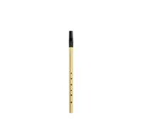 Flauto Professionale Flauto Dolce Resistente A Sei Fori In Fibra Di Carbonio(D Key Gold)
