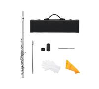 Flauto Professionale Flauto Traverso Professionale Con Chiave In Do 16 Fori Chiusi E Aperti Strumento Musicale Da Concerto