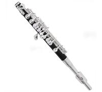 Flauto Professionale Piccolo C-Key Cupronickel Con Corpo Placcato In Argento Per Principianti