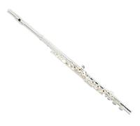 Flauto Set Flauto Aperto Placcato Argento A 16 Fori Chiave Mi Chiave Do Strumento Per Principianti Flauto Standard
