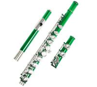 Flauto Set Flauto Traverso Professionale Con 16 Fori Chiusi E Aperti Chiave C Strumento Musicale Da Concerto Suono Standard(Green)