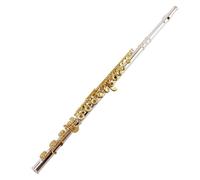 Flauto Strumenti Musicali Principianti Flauto A 16 Fori Con Foro Chiuso Chiave Placcata In Oro Corpo Del Tubo Placcato In Argento