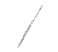 flauto Strumento A Fiato Per Flauto A 17 Fori Aperti, Foro Chiuso, Rame Bianco, Chiave E, Chiave C, Chiave E, Placcato Argento Per Principianti (Color : Silver plated 17 closed hole plus E key)