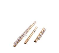 flauto strumento Apertura e chiusura della coda B del flauto a 17 fori con musica a due livelli per esame professionale 17 per adulti placcata in argento