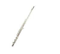 flauto strumento C key flute 16 holes 16 holes open hole silver plated flute