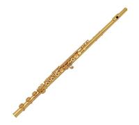 flauto strumento Chiave C di grado professionale placcata in oro con flauto aperto a 17 fori. Musica in chiave E inclusa nella musica per l'esibizione della porta