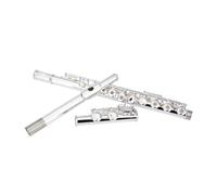 flauto strumento Doppio strumento per flauto a doppio scopo placcato in argento a 16 fori foro chiuso aperto/chiuso Chiave C placcata in argento