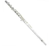 Flauto Strumento Flauto 16/17 Foro Aperto E Chiuso Argentato Chiave Do Chiave Mi Flauto Principiante Professionale(16holesclosed)