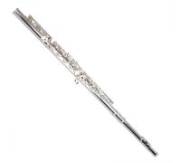 Flauto Strumento Flauto 16/17 Foro Aperto E Chiuso Argentato Chiave Do Chiave Mi Flauto Principiante Professionale(17holesclosed)