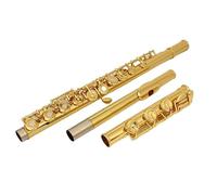 flauto strumento Flauto 17 fori aperti strumento flauto professionale placcato oro fori aperti e chiusi a doppio scopo