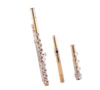 flauto strumento Flauto 17 fori B coda aperta e chiusa strumento di classificazione professionale placcato argento sub-oro a doppio scopo