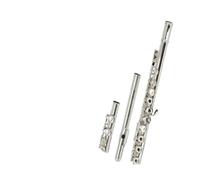 flauto strumento Flauto a doppio uso aperto e chiuso a 16 fori placcato in argento. Esame di livello professionale per adulti con flauto a chiave C standard Y
