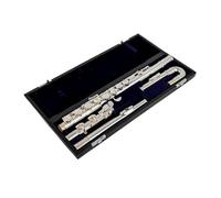 flauto strumento Flauto contralto strumento musicale professionale placcato in nastro con 16 tasti a foro chiuso con custodia