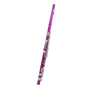 flauto strumento Flauto da concerto placcato in argento con chiave C a 16 fori chiusi con strumento a fiato in chiave E Principiante
