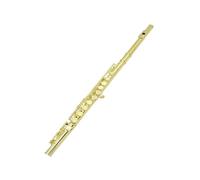flauto strumento Flauto dorato Flauto C-Tune a 16 fori con scatola in pelle Borsa per flauto Accessori per strumenti musicali Kit di pulizia