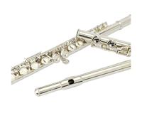 flauto strumento Flauto Flauto standard C Doppio modello da esame placcato argento Flauto a 16 fori a foro chiuso