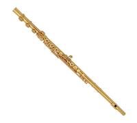 flauto strumento Flauto professionale a 16 fori placcato in oro che suona il flauto strumento musicale occidentale