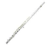 flauto strumento Flauto professionale a 17 fori aperto/chiuso a doppio scopo strumento musicale occidentale per flauto
