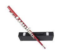 flauto strumento Flauto rosso a 16 fori Modello con scatola in pelle con corpo in tubo di rame bianco tono C, adatto ai principianti per suonare per gli esami