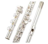 flauto strumento Flauto standard C chiave argentata 17 fori aperti e chiusi coda B a doppio scopo classificazione professionale