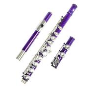 flauto strumento Flauto VIOLA Chiave d'argento16 Fori aperti chiusi Chiave C Flauto traverso professionale Strumento musicale da concerto
