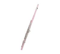 flauto strumento L Flauto rosa Flauto C-tono a 16 fori con scatola in pelle Borsa per flauto Accessori per strumenti musicali Kit di pulizia