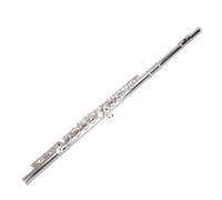 flauto strumento Le chiavi dell'esame per principianti dello strumento flauto con chiave C a 16 fori sono lisce