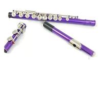 flauto strumento Lo strumento flauto per principianti a 16 tasti viola con foro chiuso viene fornito con kit di pulizia porta guanti barra di passaggio