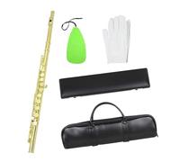 flauto Strumento per flauto a chiave C placcato oro a 16 fori con parti in tessuto per la pulizia della scatola della borsa