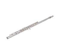 Flauto Strumento Per Flauto Chiave C Placcato In Argento A 16 Fori Foro Chiuso Flauto Chiave E Serie Di Brani