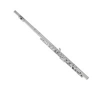 flauto Strumento Per Flauto Chiave C Test Per Principianti Per Flauto Placcato In Argento Nichelato A 16 Fori (Color : 16-hole nickel-plated version)