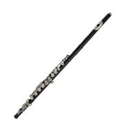 Flauto Strumento Per Flauto Per Principianti Tasto C Nero 16 Fori Fori Chiusi Esame Prestazioni Della Banda Di Flauto