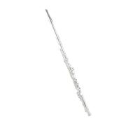 Flauto Strumento Per Flauto Professionale Principiante Adulto Che Suona Strumento Per Flauto A Foro Chiuso Placcato Argento A 16 Fori