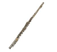 flauto strumento Set di flauto a 16 fori con chiave C. Flauto a chiave C con accessorio per strumenti a fiato verde antico