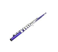 flauto strumento Strumento per flauto chiave C Professionale 16 fori Flauto aperto chiuso Flauto a tubo in cupronichel con chiave chiusa con scatola