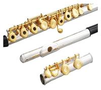 flauto strumento Strumento per flauto con chiave dorata e corpo in argento a 16 fori. Chiave E che suona il flauto