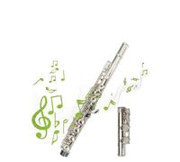 flauto strumento Strumento per flauto nichelato a 16 fori I principianti francesi più la chiave E suonano elegantemente
