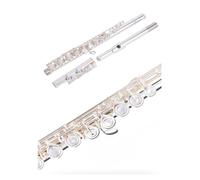 flauto strumento Strumento per flauto Orchestra di flauto professionale Prestazioni speciali Grado C Flauto placcato argento Esame di grado principiante