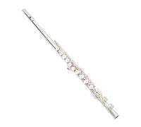 flauto strumento Strumento per flauto per esame professionale per principianti C Tune Flauto elegante placcato in argento a 16 fori