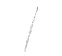 flauto strumento Strumento per flauto per principianti prestazioni professionali 16 strumenti per flauto a doppio scopo aperto e chiuso placcato in argento