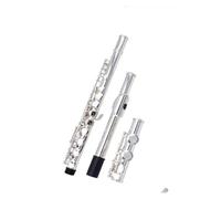 flauto strumento Strumento per flauto Principiante 16 fori Chiave E divisa/divisa Esame delle prestazioni professionali placcato in argento