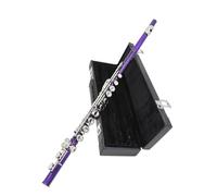 Flauto Traverso 16 Fori Aperti Chiusi C Flauto Strumento A Fiato Concerto Professionale Con Chiave E Durevole(Purple)