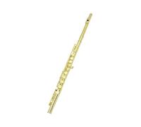 Flauto Traverso Amanti Della Musica A 16 Fori Flauto C Tono E Chiave Principiante Prestazioni Professionali(Gold)